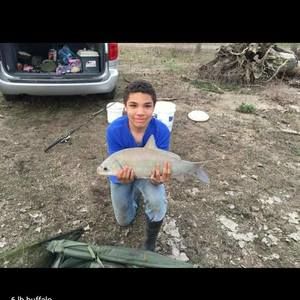 Meet your Posher, Josh